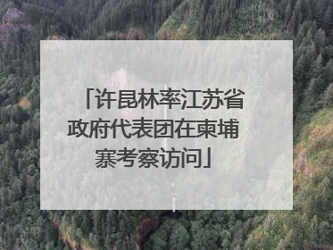 许昆林率江苏省政府代表团在柬埔寨考察访问