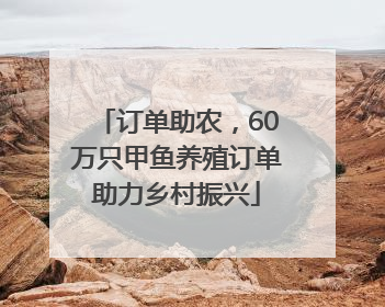 订单助农，60万只甲鱼养殖订单助力乡村振兴