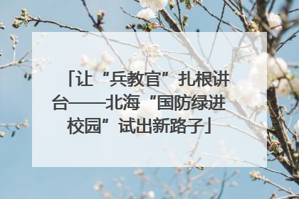 让“兵教官”扎根讲台——北海“国防绿进校园”试出新路子