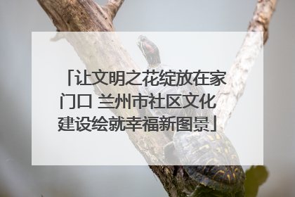 让文明之花绽放在家门口 兰州市社区文化建设绘就幸福新图景