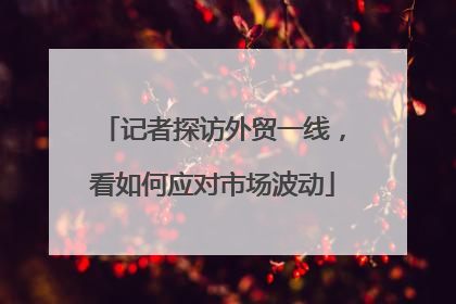 记者探访外贸一线，看如何应对市场波动
