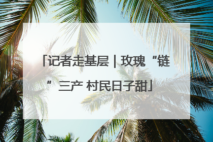 记者走基层｜玫瑰“链”三产 村民日子甜