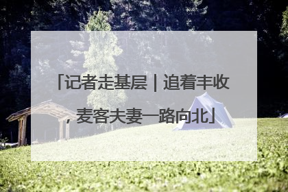 记者走基层｜追着丰收，麦客夫妻一路向北