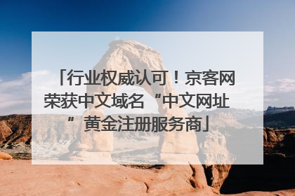 行业权威认可！京客网荣获中文域名“中文网址”黄金注册服务商