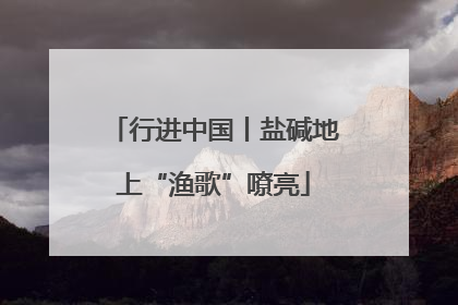 行进中国丨盐碱地上“渔歌”嘹亮
