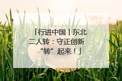 行进中国丨东北二人转：守正创新“转”起来！