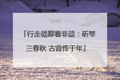 行走赣鄱看非遗：斫琴三春秋 古音传千年