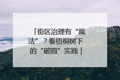 街区治理有“魔法”？看梧桐树下的“破圈”实践｜我在街区当书记