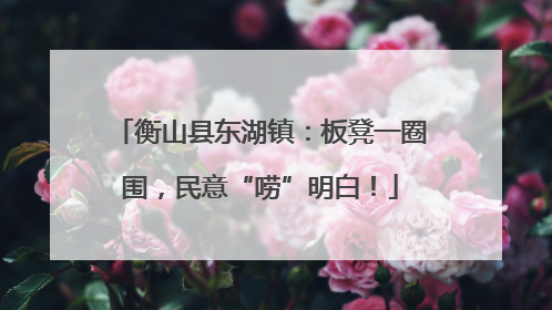 衡山县东湖镇：板凳一圈围，民意“唠”明白！