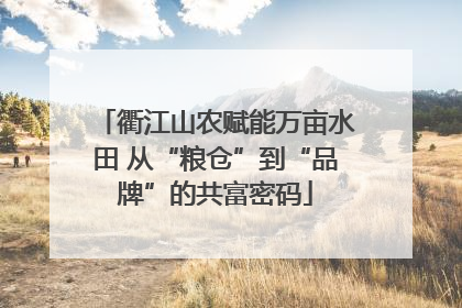 衢江山农赋能万亩水田 从“粮仓”到“品牌”的共富密码
