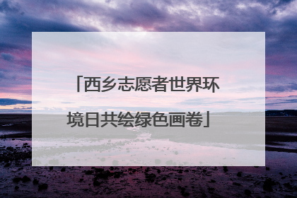 西乡志愿者世界环境日共绘绿色画卷