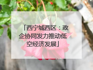 西宁城西区：政企协同发力推动低空经济发展