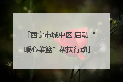 西宁市城中区 启动“暖心菜篮”帮扶行动