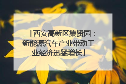 西安高新区集贤园：新能源汽车产业带动工业经济迅猛增长