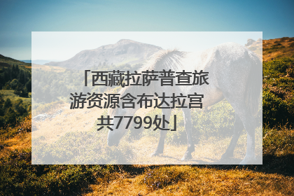 西藏拉萨普查旅游资源含布达拉宫共7799处