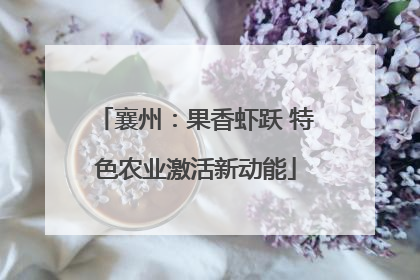 襄州：果香虾跃 特色农业激活新动能
