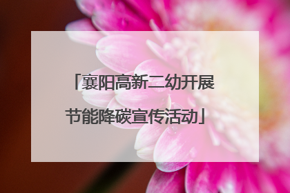 襄阳高新二幼开展节能降碳宣传活动