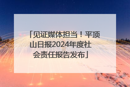 见证媒体担当！平顶山日报2024年度社会责任报告发布