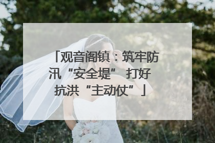 观音阁镇：筑牢防汛“安全堤” 打好抗洪“主动仗”