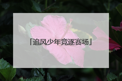 追风少年竞逐赛场