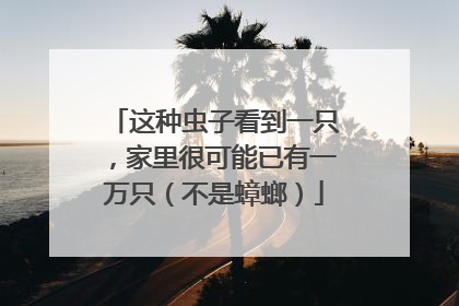 这种虫子看到一只，家里很可能已有一万只（不是蟑螂）
