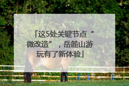 这5处关键节点“微改造”，岳麓山游玩有了新体验