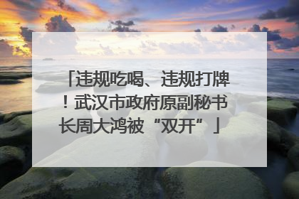 违规吃喝、违规打牌！武汉市政府原副秘书长周大鸿被“双开”