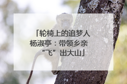 轮椅上的追梦人杨淑亭：带领乡亲“飞”出大山