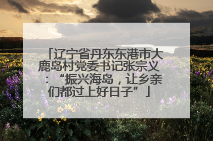 辽宁省丹东东港市大鹿岛村党委书记张宗义：“振兴海岛，让乡亲们都过上好日子”
