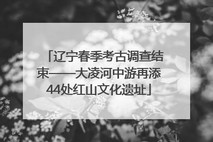 辽宁春季考古调查结束——大凌河中游再添44处红山文化遗址