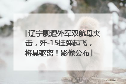 辽宁舰遭外军双航母夹击，歼-15挂弹起飞，将其驱离！影像公布