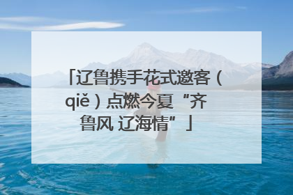 辽鲁携手花式邀客（qiě）点燃今夏“齐鲁风 辽海情”