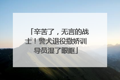 辛苦了，无言的战士！警犬退役撒娇训导员湿了眼眶
