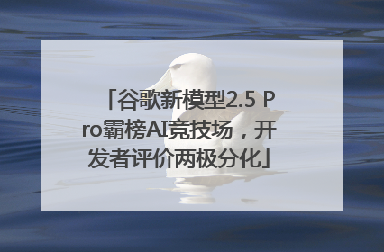 谷歌新模型2.5 Pro霸榜AI竞技场，开发者评价两极分化