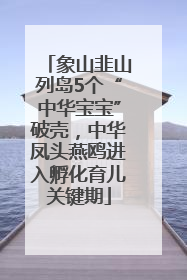 象山韭山列岛5个“中华宝宝”破壳，中华凤头燕鸥进入孵化育儿关键期