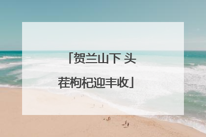 贺兰山下 头茬枸杞迎丰收