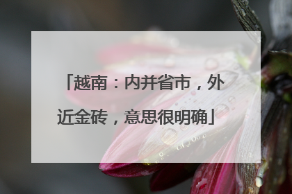 越南：内并省市，外近金砖，意思很明确