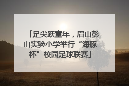 足尖跃童年，眉山彭山实验小学举行“海豚杯”校园足球联赛