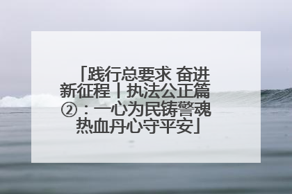 践行总要求 奋进新征程丨执法公正篇②：一心为民铸警魂 热血丹心守平安