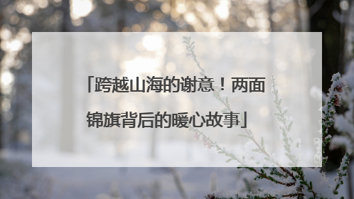 跨越山海的谢意！两面锦旗背后的暖心故事