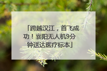 跨越汉江，首飞成功！襄阳无人机9分钟送达医疗标本