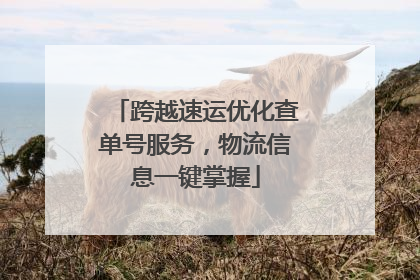 跨越速运优化查单号服务，物流信息一键掌握