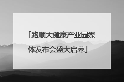 路顺大健康产业园媒体发布会盛大启幕