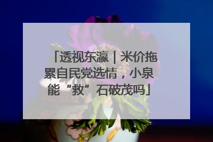 透视东瀛｜米价拖累自民党选情，小泉能“救”石破茂吗
