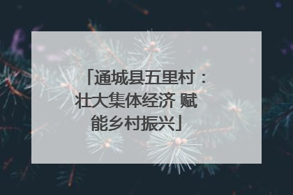 通城县五里村：壮大集体经济 赋能乡村振兴