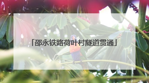 邵永铁路荷叶村隧道贯通