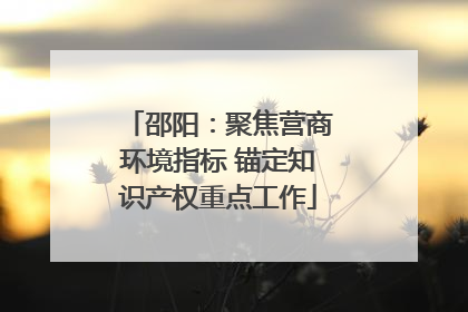 邵阳：聚焦营商环境指标 锚定知识产权重点工作