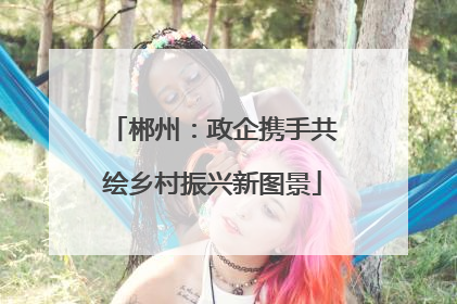 郴州：政企携手共绘乡村振兴新图景