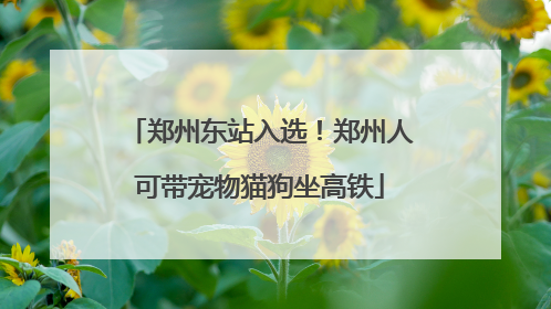 郑州东站入选！郑州人可带宠物猫狗坐高铁