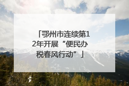 鄂州市连续第12年开展“便民办税春风行动”